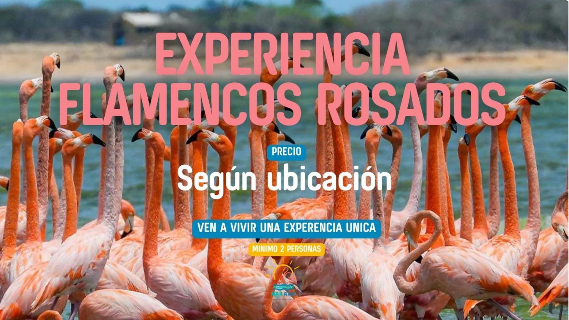 Camarones Mar Azul - Playa Y Turismo 빌라 외부 사진